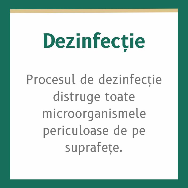 DDD Fix Clean - Dezinfectie, dezinsectie, deratizare